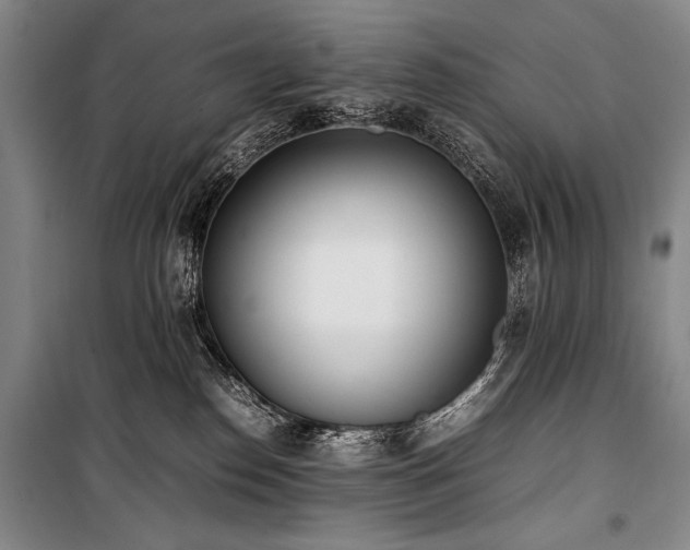 X0000101220186200806271456