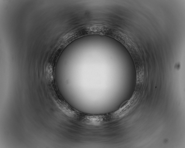 X0000101220187200806271456