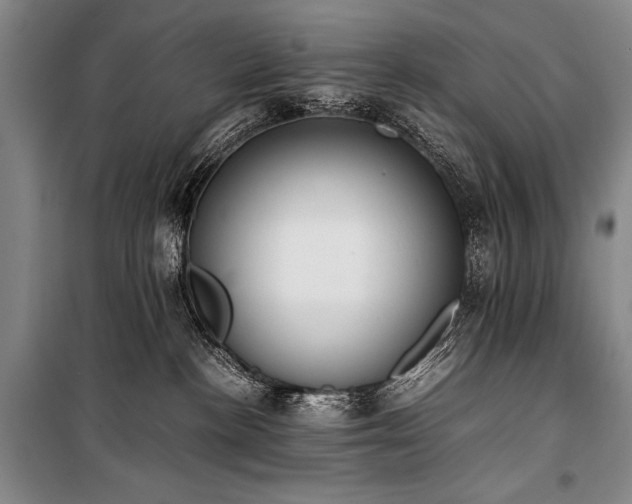 X0000101220188200806271456