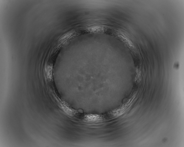 X0000101220189200806271456