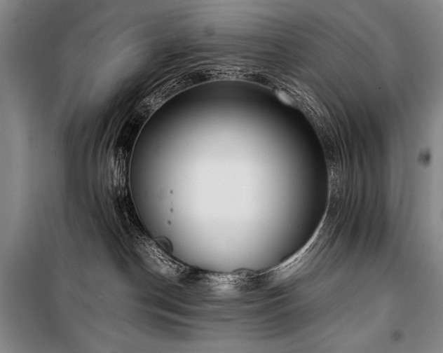 X0000101220190200806271456