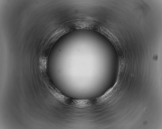 X0000101220191200806271456
