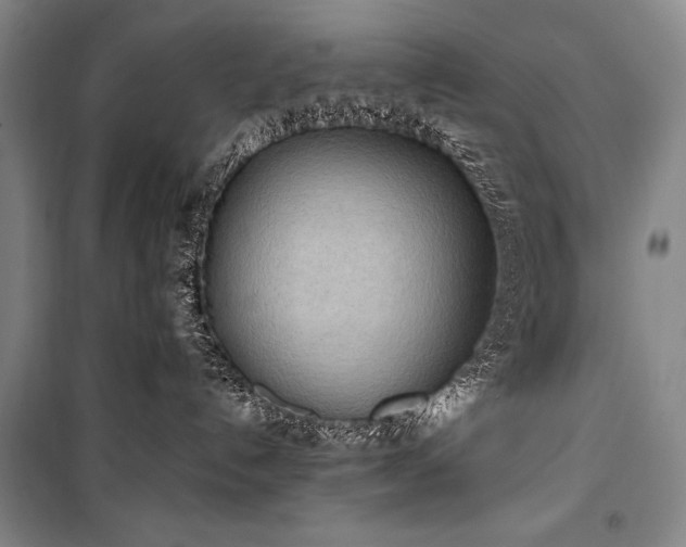 X0000101220192200806271456