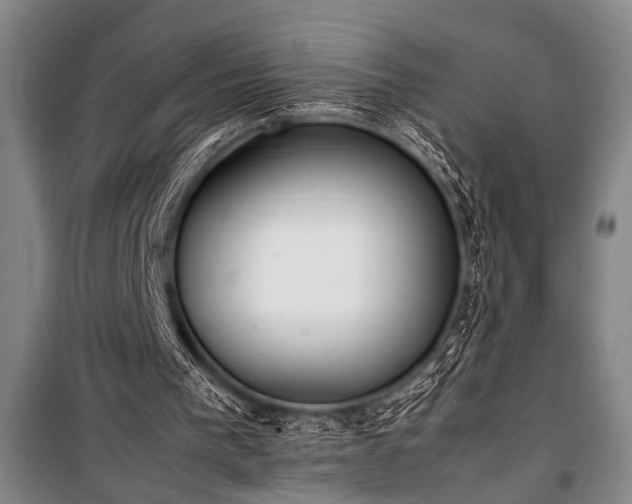 X0000101220193200806271456