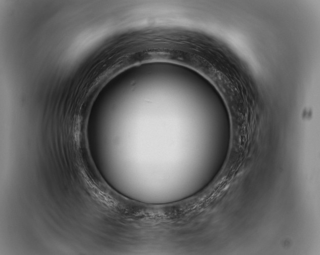 X0000101220194200806271456