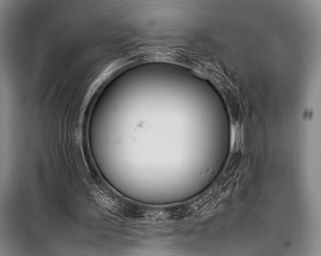 X0000101220195200806271456