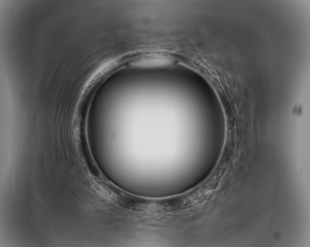 X0000101220197200806271456