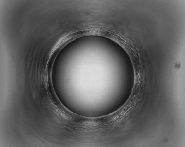 X0000101220198200806271456