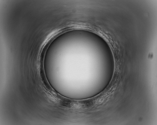 X0000101220199200806271455