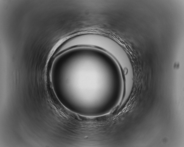 X0000101220200200806271455