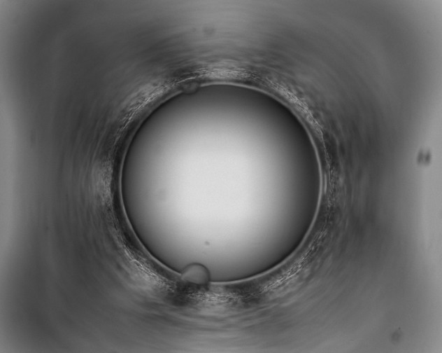 X0000101220201200806271455
