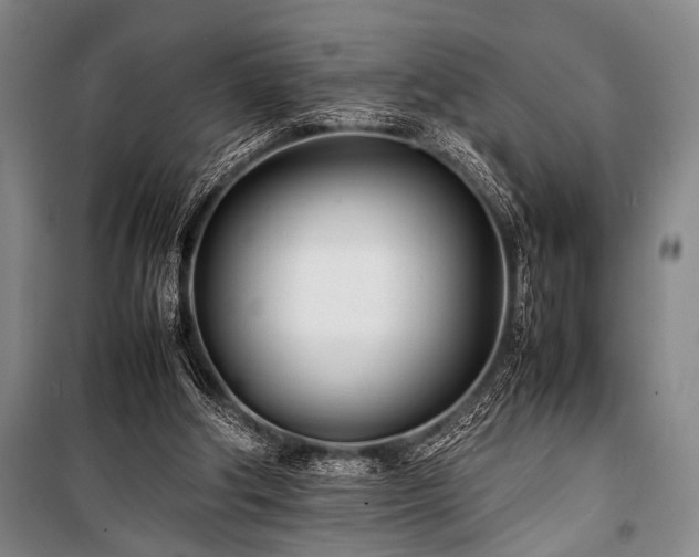 X0000101220202200806271455