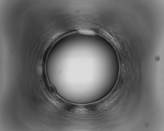 X0000101220203200806271455