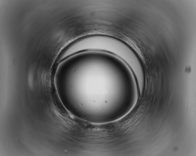 X0000101220204200806271455