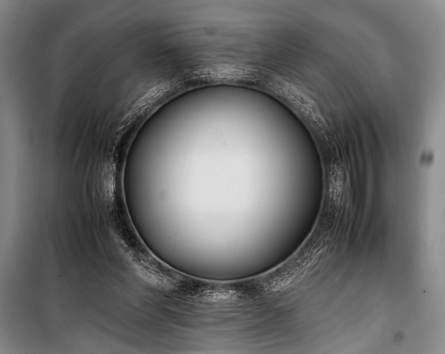 X0000101220206200806271455