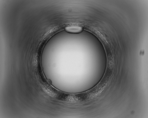 X0000101220207200806271455