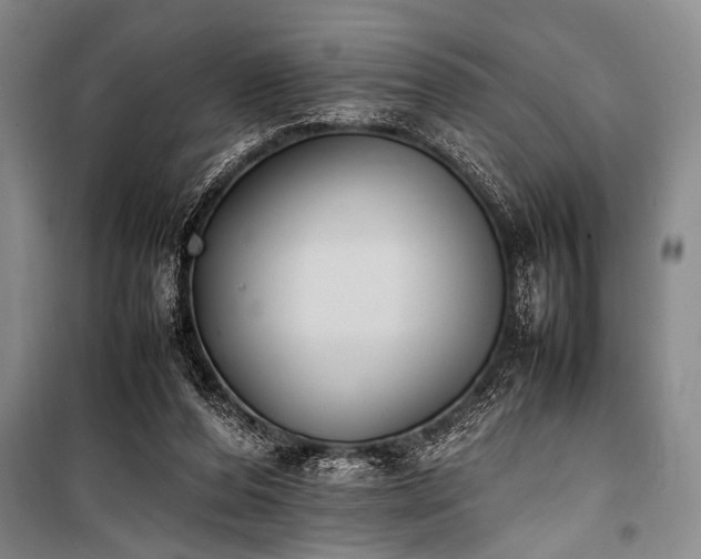 X0000101220208200806271455