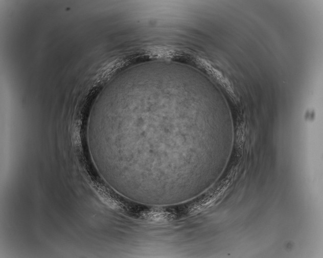 X0000101220209200806271455