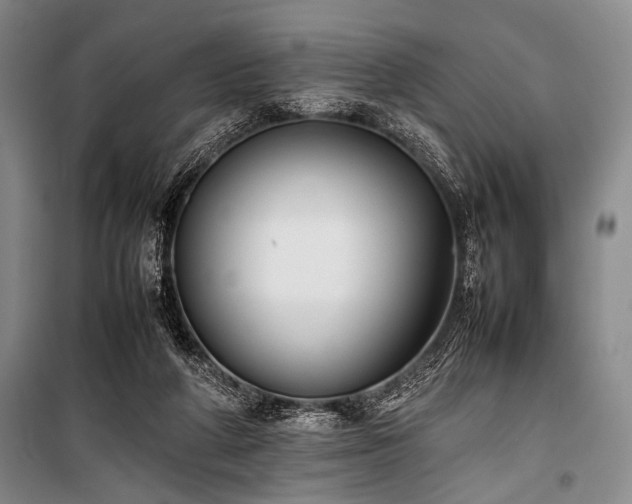 X0000101220210200806271455