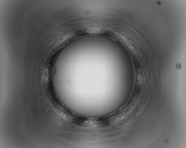 X0000101220211200806271455