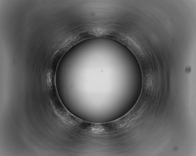 X0000101220214200806271455