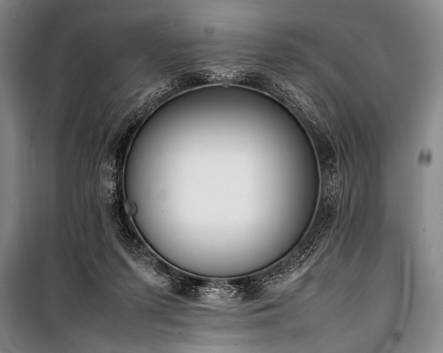 X0000101220215200806271455