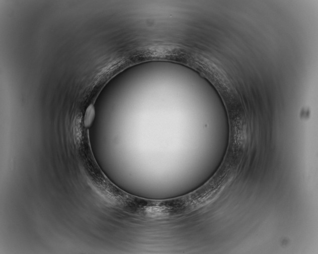 X0000101220216200806271455