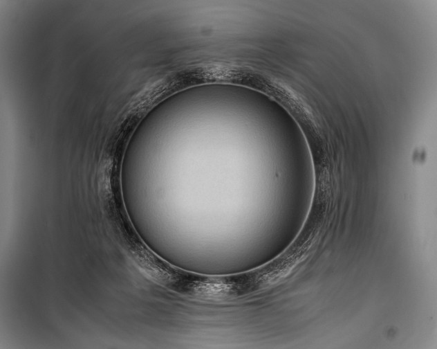 X0000101220217200806271455
