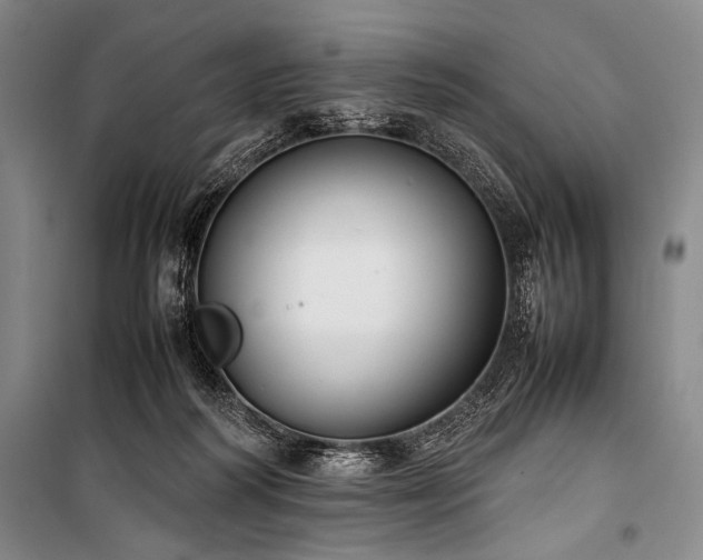 X0000101220218200806271455