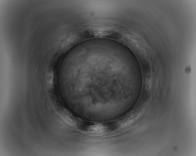 X0000101220219200806271455