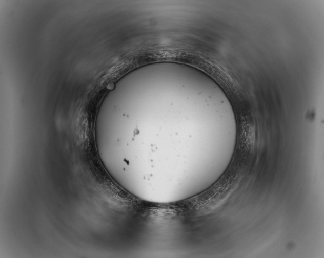 X0000101220220200806271455