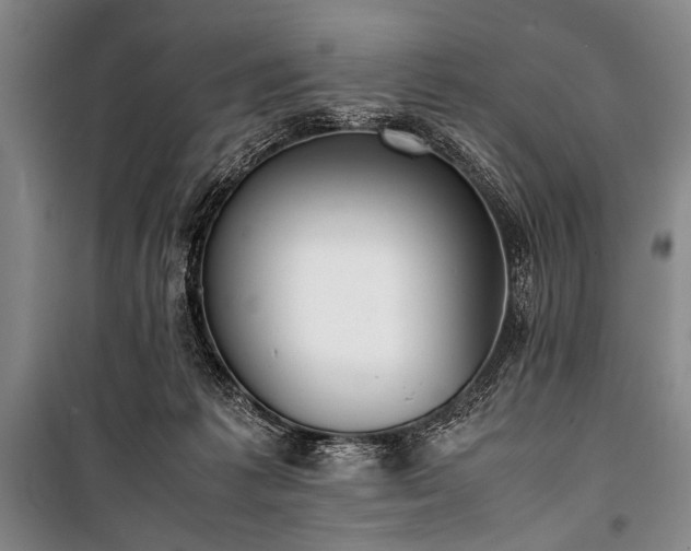 X0000101220221200806271455