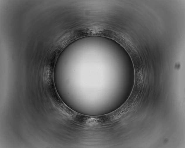 X0000101220222200806271455