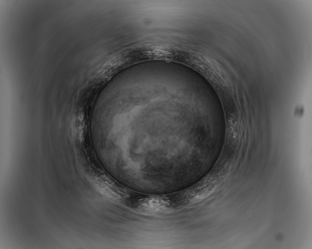 X0000101220223200806271455