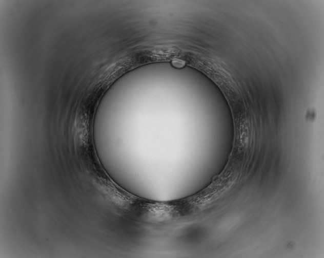 X0000101220226200806271455