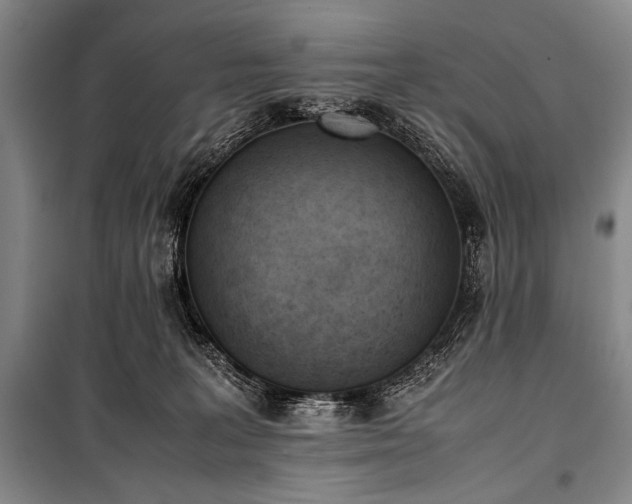 X0000101220227200806271455