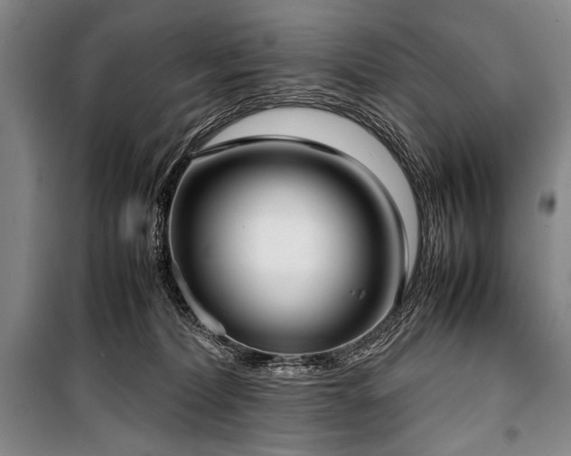 X0000101220228200806271455