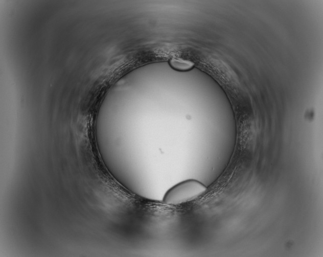 X0000101220229200806271455