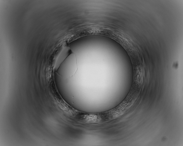 X0000101220230200806271455