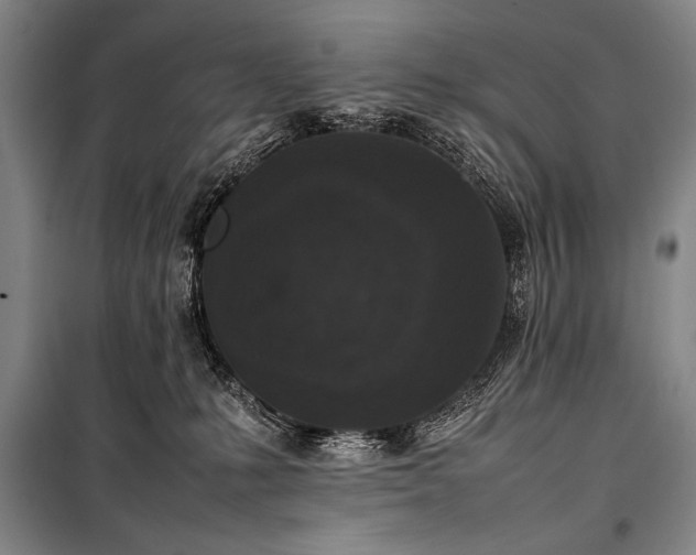 X0000101220231200806271455