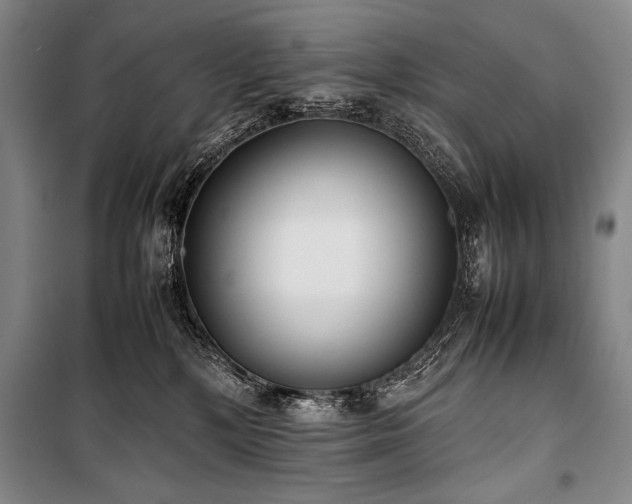 X0000101220232200806271455
