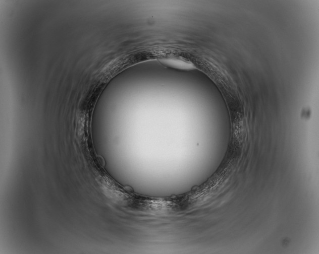 X0000101220233200806271455