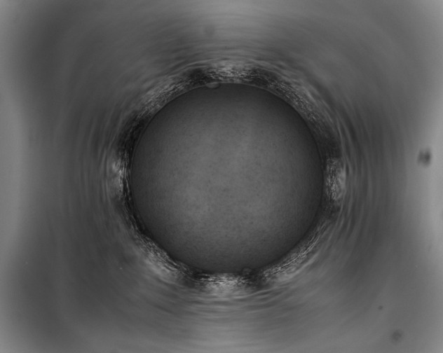 X0000101220235200806271455