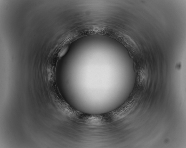 X0000101220236200806271455