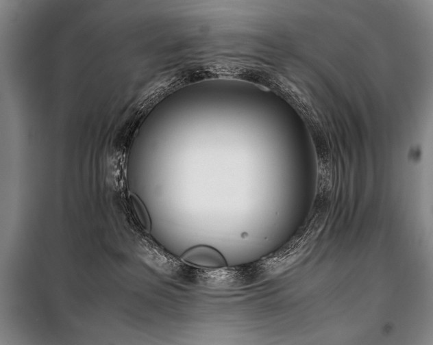 X0000101220237200806271455