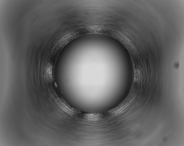 X0000101220238200806271455