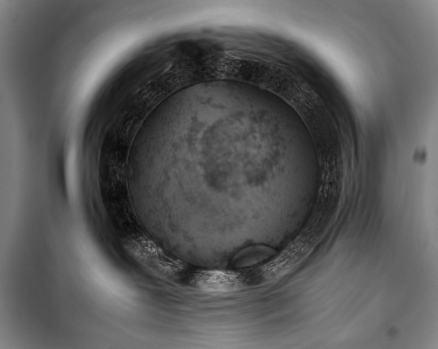 X0000101220239200806271455