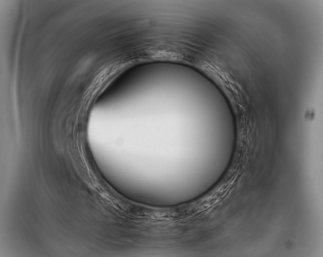 X0000101220241200806271454