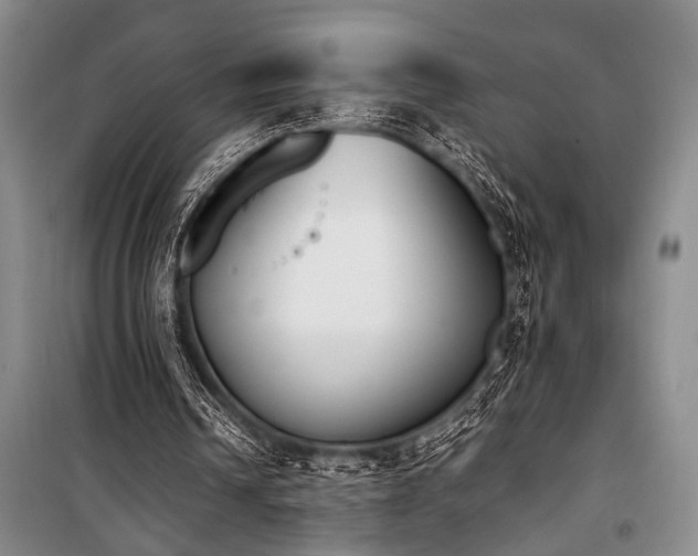 X0000101220242200806271454
