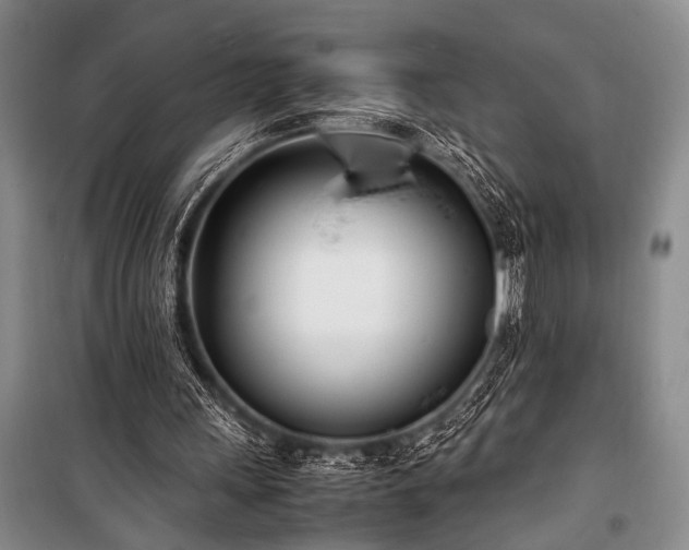 X0000101220243200806271454